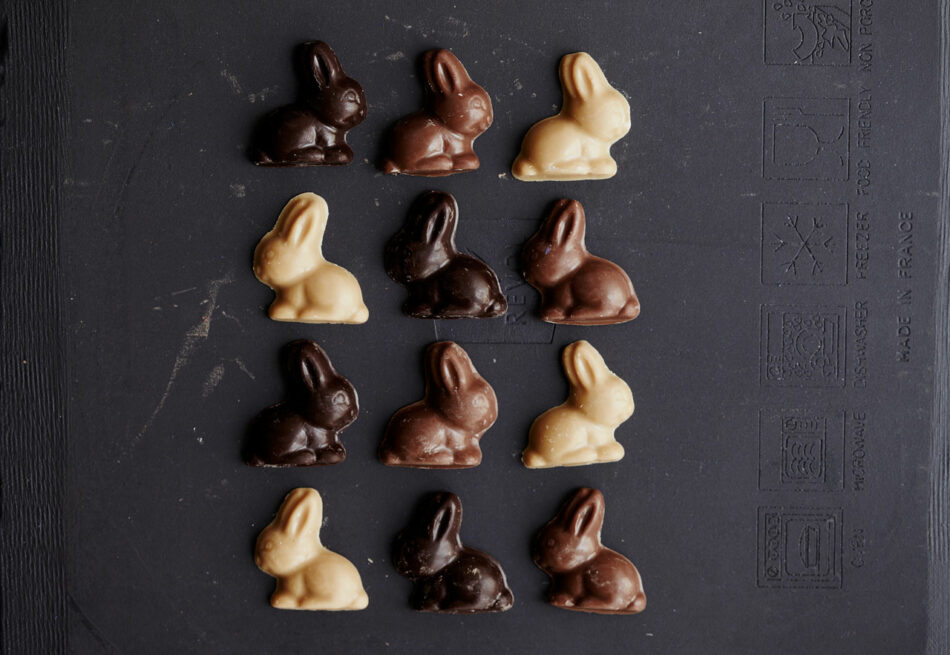 12 chocolate baby bunnies